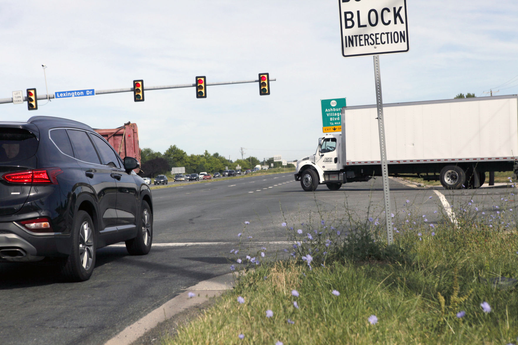 Lexington Drive | Route 7 View